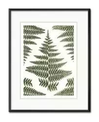 Paprotkowa mozaika - 21x26 cm - G100565