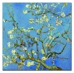 Vincent van Gogh - Kwitnący migdałowiec - 60x60 cm - G100754