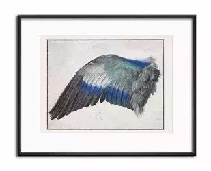 Skrzydło - 21x26 cm - G98168