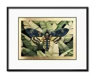 Nocny motyl - 21x26 cm - G98904