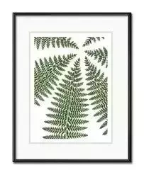 Paprotkowy krąg - 21x26 cm - G100566