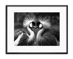 Para pawi - 21x26 cm - G98971