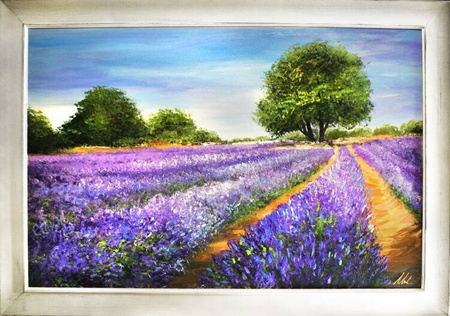 Pola lawendowe - Lawendowe rabatki - 75x105 cm - G15250