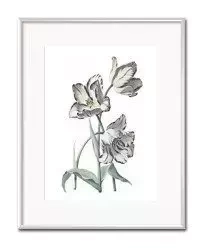 Tulipany w rozkwicie - 21x26 cm - G98152