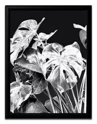 Kwiat doniczkowy - 23x28 cm - G98427