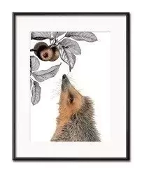 Jeżyk - 21x26 cm - G98453