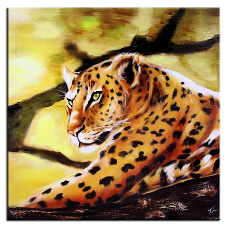 Obraz - Dzikie koty - 60x60cm - G01372