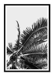 Pod palmami Los Angeles - 63x93 cm - G103441