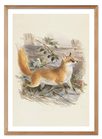 Obraz - Inne - 53x73cm - G111932