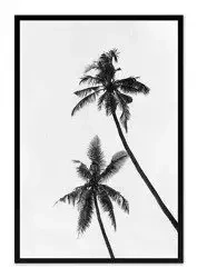 Dwie palmy - 63x93 cm - G103447