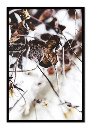 Listki - 63x93 cm - G98967