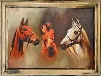 Zwierzęta - Trzy młode konie - 63x84 cm - G04373