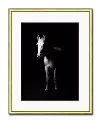 Biały koń - 21x26 cm - G98973