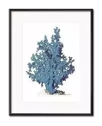 Niebieska rafa - 21x26 cm - G100443