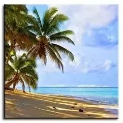 Krajobrazy - Słoneczna plaża - 100x100 cm - G92976