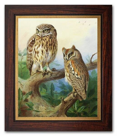 Archibald Thorburn - Sowy - 27x31 cm - G95110