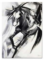 Obraz - Konie - 50x70cm - G107787