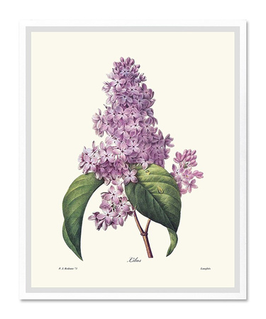 Obraz - Inne - 43x53cm - G100527