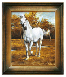 Obraz - Konie - 55x65cm - G98974