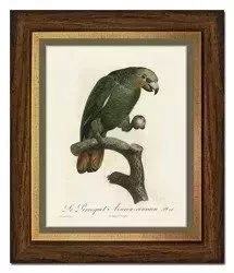 Zielona papużka - 28x33 cm - G99332