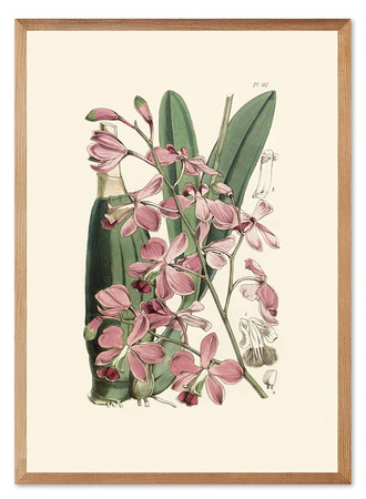 Obraz - Inne - 53x73cm - G104248