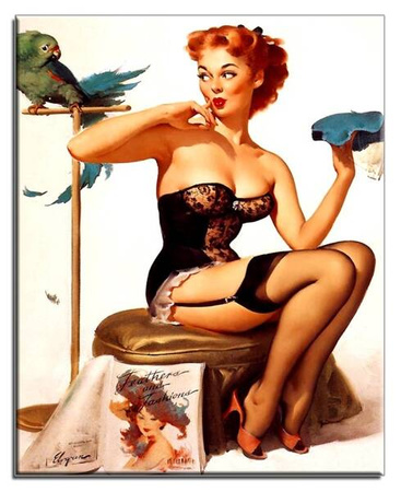 Pin-Up Girls - Papużka - 40x50 cm - G17849