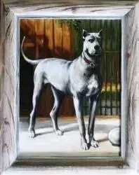 Zwierzęta - Dog niemiecki - 40x50 cm - G03577