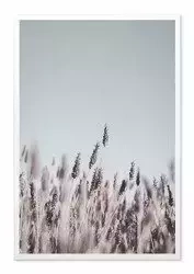 Lawendowe źdźbła - 63x93 cm - G104301