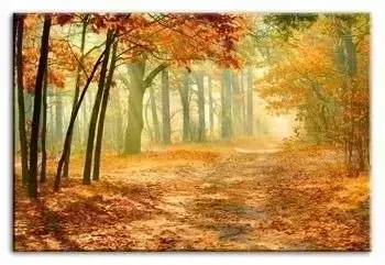 Krajobrazy - Jesienna aleja - 50x70 cm - G93006