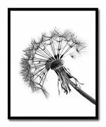 Dmuchawiec - 43x53 cm - G101854