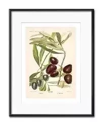 Passe partout - Czarne oliwki - 21x26 cm - G100712