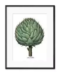 Karczoch - 21x26 cm - G100696