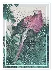 Papuga w purpurze - 53x73 cm - G101733