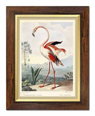 Gracja flaminga - 40x50 cm - G100251,