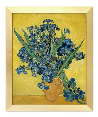 Vincent van Gogh - Irysy - 27x32 cm - G95129