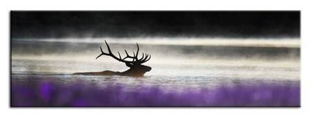 Wild Nature - Król stada - 150x50 cm - G93279