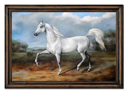 Zwierzęta - Biały rumak - 75x105 cm - G98947